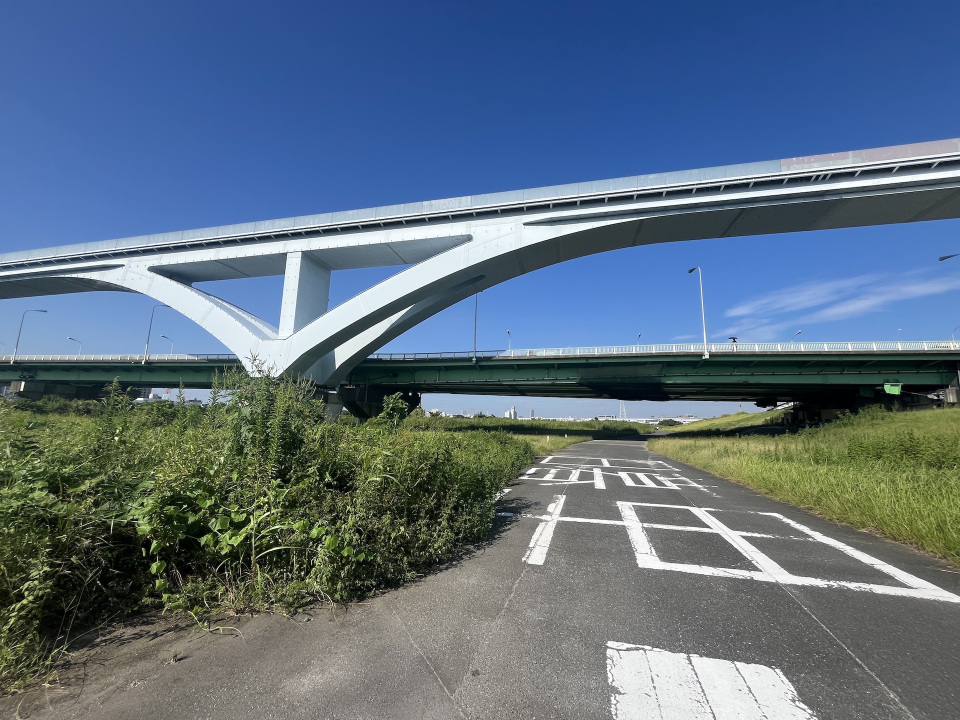 日暮里舎人ライナーと扇大橋