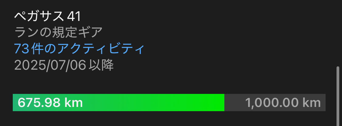 600キロ走ったペガサス41