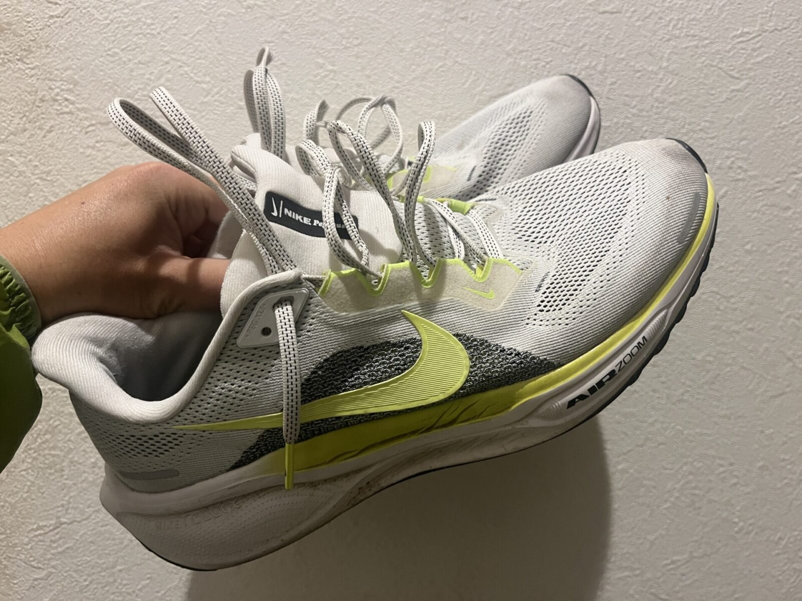 1000キロ走ったペガサス41